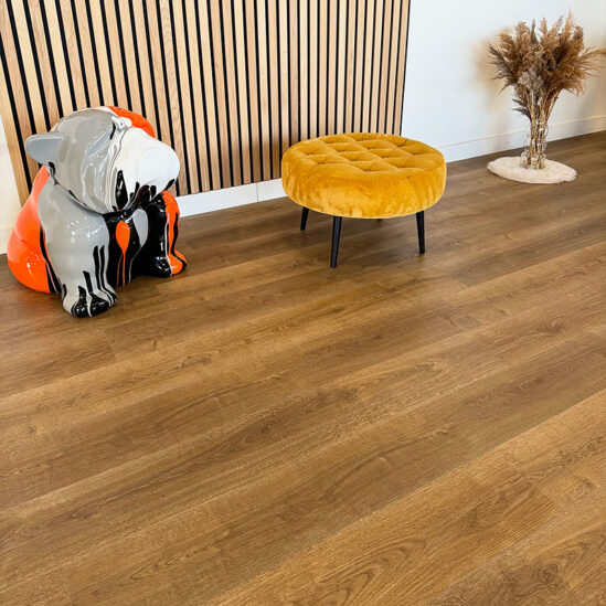 realisation-sol-vinyle-Cargese-549x549